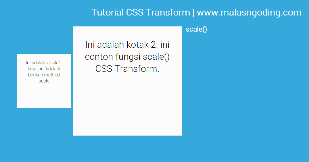 contoh transform css scale