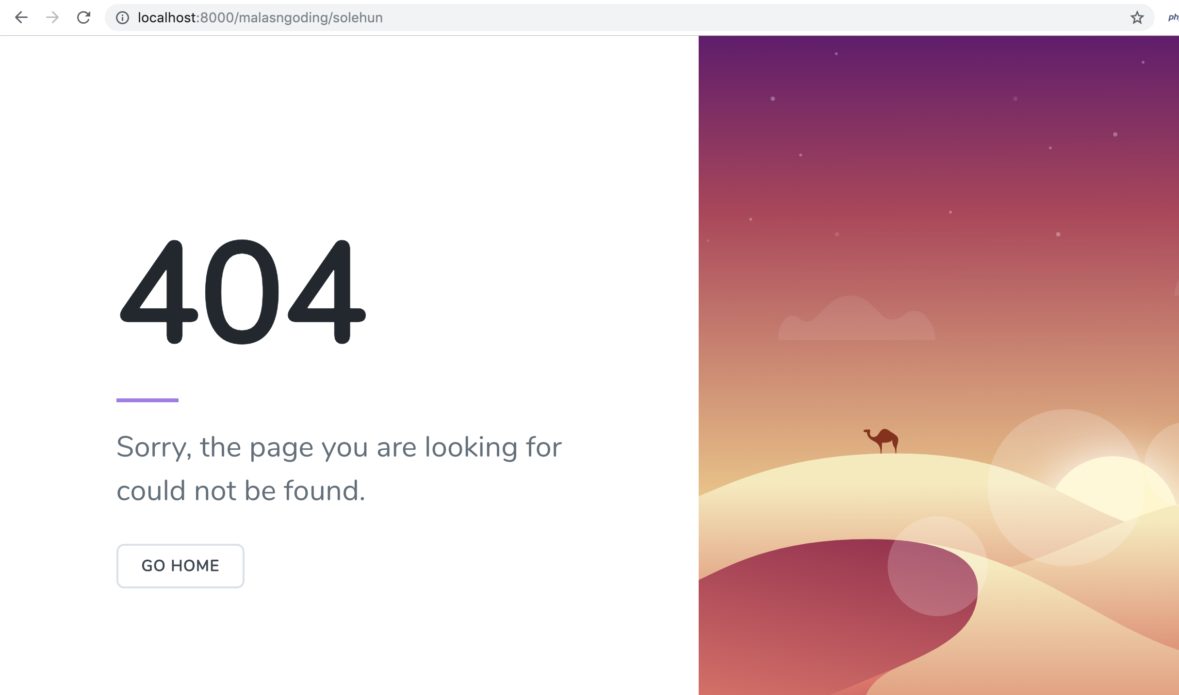 menampilkan halaman 404 laravel